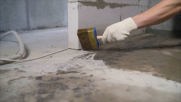 Top rated local Vapor Barrier Installation specialists in White Post, VA